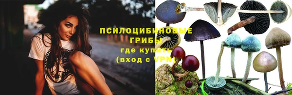 меф Богородицк