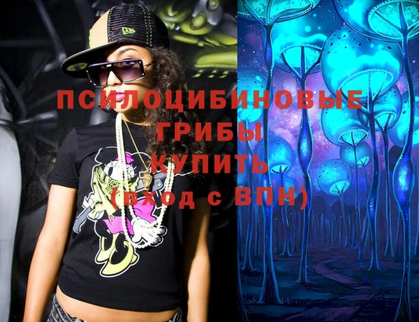 меф Богородицк