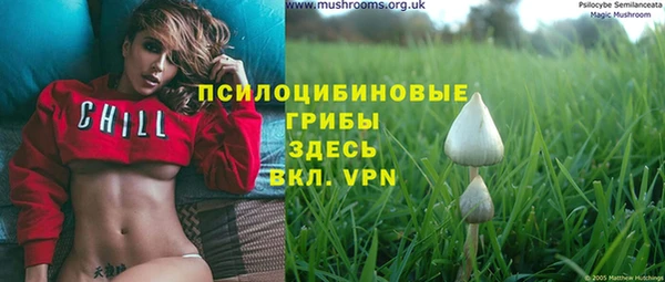 меф Богородицк