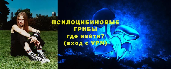 меф Богородицк